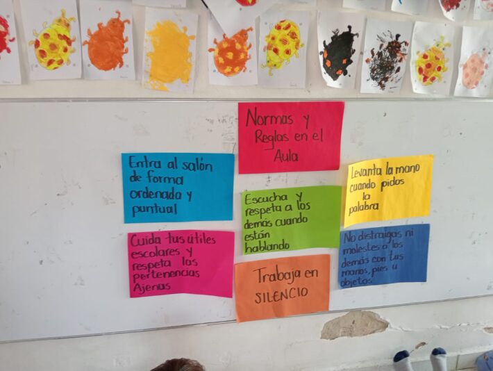 Imagen de WhatsApp 2024-11-12 a las 17.47.39_e290d1d4