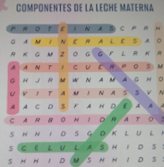 Imagen de WhatsApp 2024-11-12 a las 18.47.01_1fedfedf