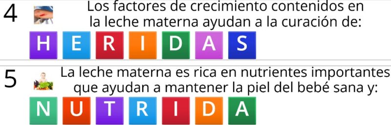 Imagen de WhatsApp 2024-11-12 a las 18.55.04_9023c96e