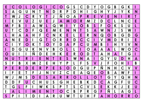 SOPA DE LETRAS LACTANCIA MATERNA