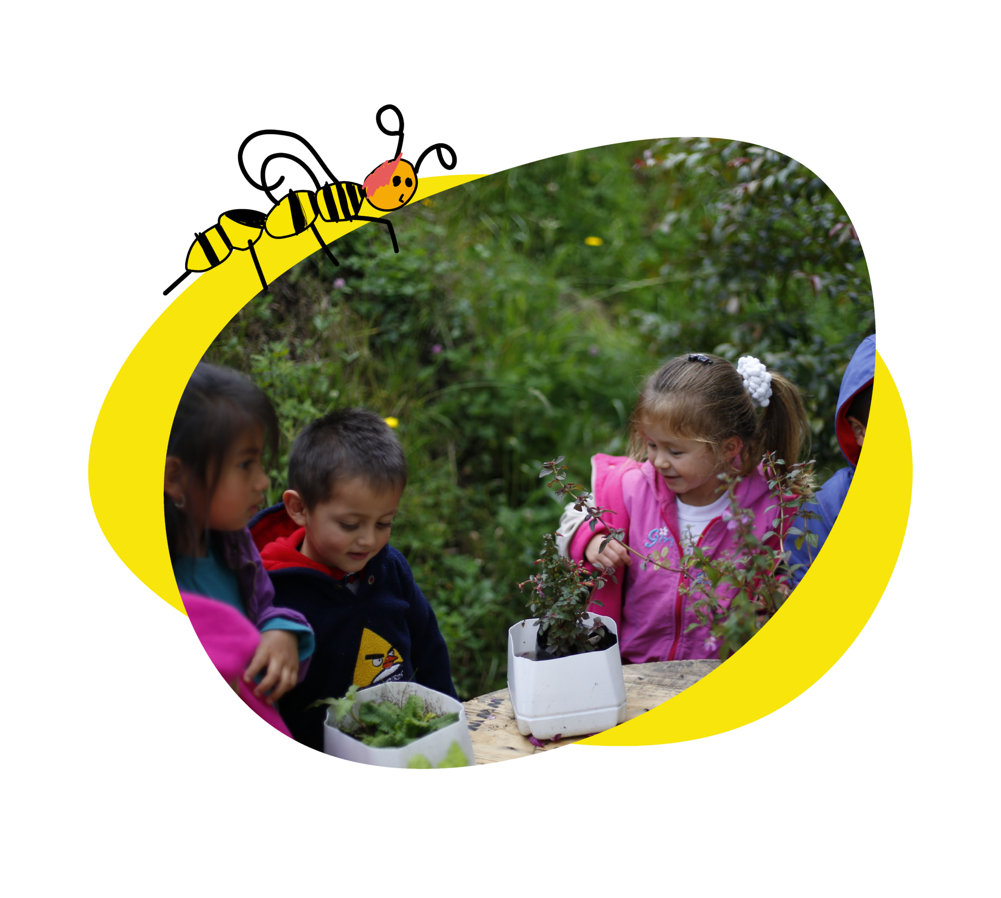 Estrategias para acompañar a los niños en el cuidado de la naturaleza ...